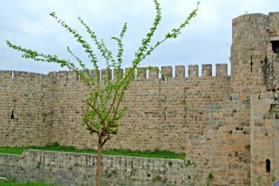 Turkey-Caravanserais View - Tree and Fort