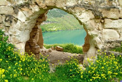 Turkey-Euphrates-Rumkale Flowers, Arch & River.jpg