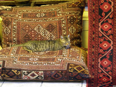 Turkey - Ephesus - Carpet Sales Assistant in Meditation