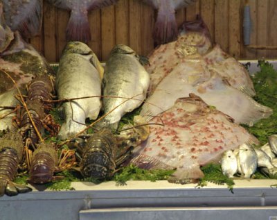 Turkey - Istanbul - Fish Market-Dinner Choices