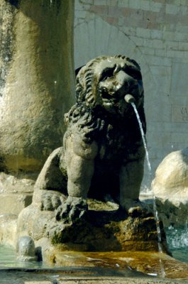 Lion and fountain