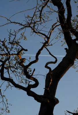 DSC_0137.JPG