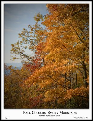 Smoky Mountains 2006