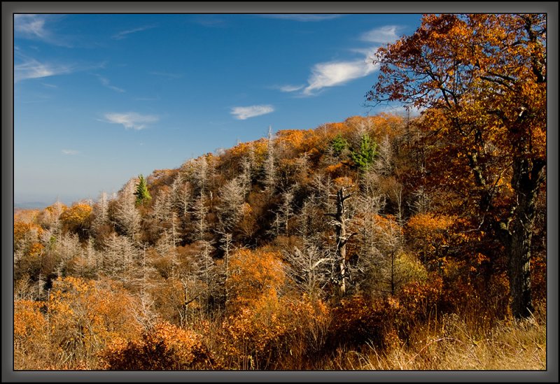 _DSC5101s1000.jpg