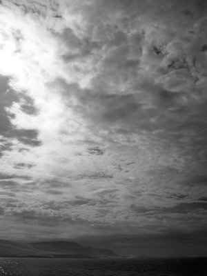 P6084145new.jpg