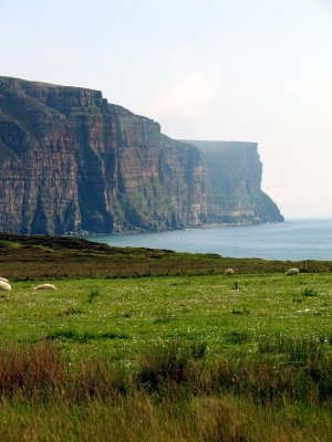 Hoy, June 2007