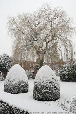 Turnhout - Begijnhof