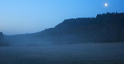 Wandeling Weidenbach / Bettenfeld
