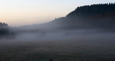 Wandeling Weidenbach / Bettenfeld