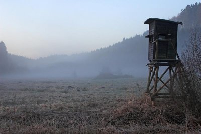 Wandeling Weidenbach / Bettenfeld