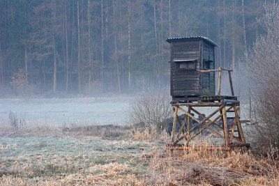 Wandeling Weidenbach / Bettenfeld