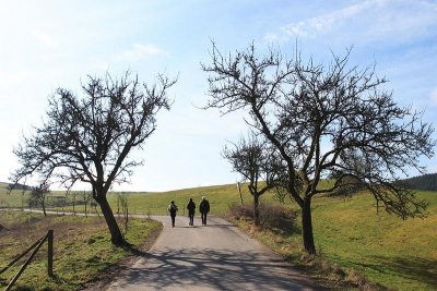 Wandeling Weidenbach / Bettenfeld