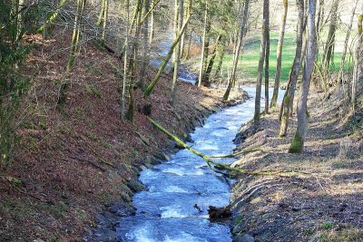 Wandeling Bettenfeld - Dreisborn