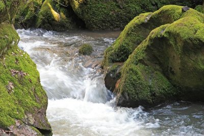 Wandeling Bettenfeld - Dreisborn