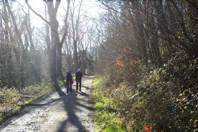 Wandeling Bettenfeld - Dreisborn