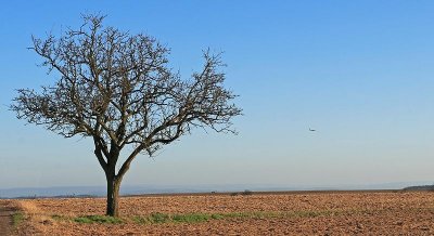 Wandeling Bettenfeld - Dreisborn