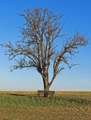 Wandeling Bettenfeld - Dreisborn