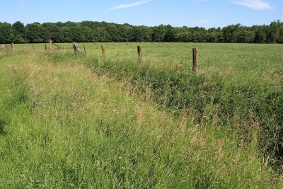 Doolhofwandeling Turnhout