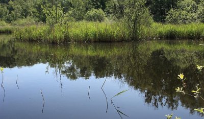 Doolhofwandeling Turnhout