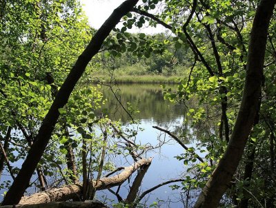 Doolhofwandeling Turnhout