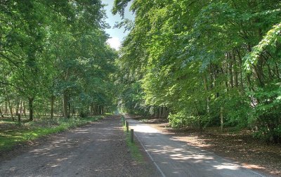 Looypad wandeling (Turnhout/Vosselaar)