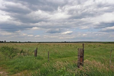 Vennenwandeling Turnhout