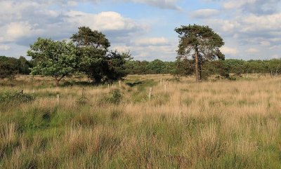 Vennenwandeling Turnhout