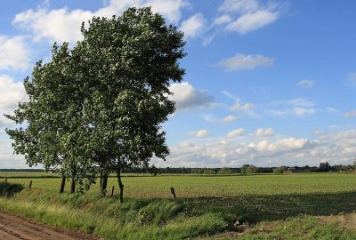 Vennenwandeling Turnhout