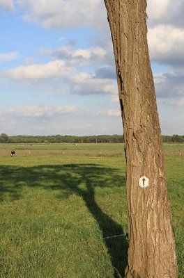 Vennenwandeling Turnhout