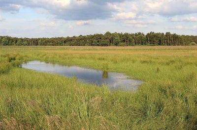 Vennenwandeling Turnhout