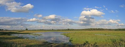 Vennenwandeling Turnhout