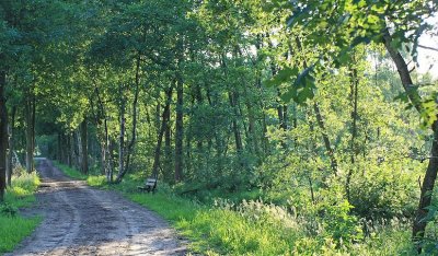 Vennenwandeling Turnhout