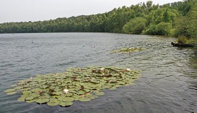 Turnhout (Belgium) - Natuurgebied De Melle