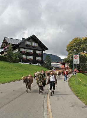 Kleinwalsertal 2007 - Viehscheid am 19.9.2007