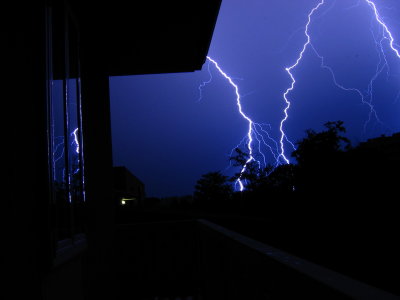 White Lightning.JPG