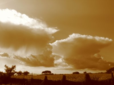 Sepia Clouds.JPG