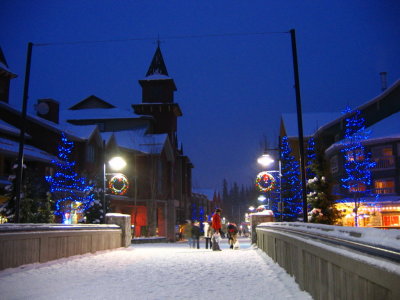 Christmas trees at late evening.JPG