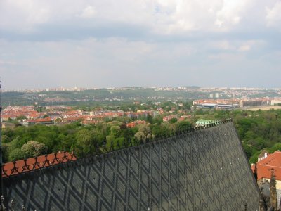 St. Vitus Cathedral Roof.jpg