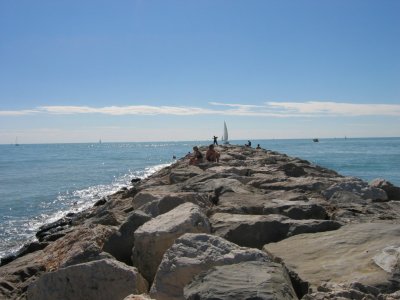 g6/83/404883/3/79688207.ZP2uPA0x.jpg