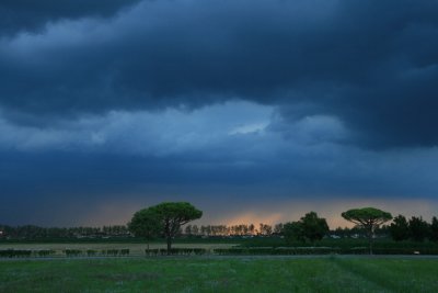 Storm5.jpg