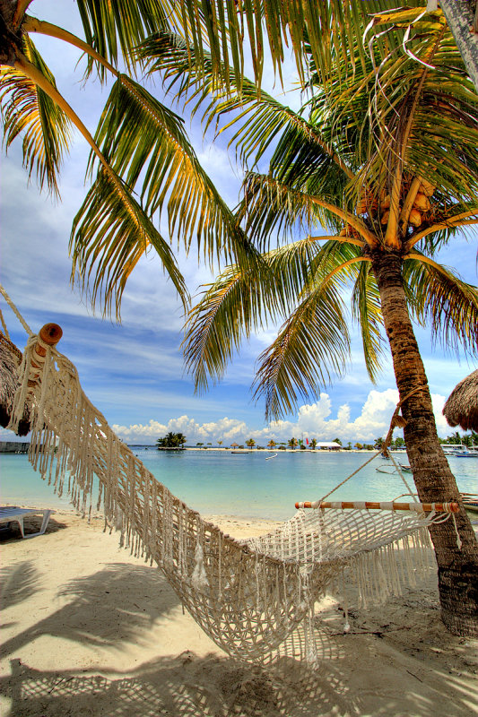 Best seat in the house, Cebu, Philippines