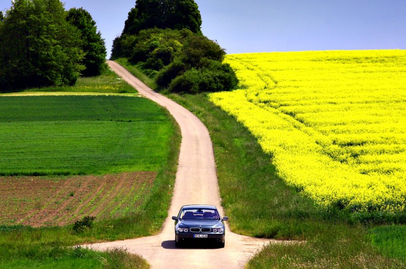 Germany, rapeseed fields