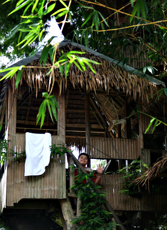 Tree house