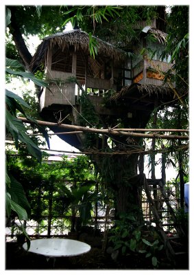 Tree house: this is where we slept!