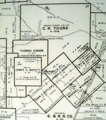 James C Boyett Tyler Co, TX  (land survey map)