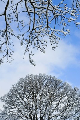 The Nature Stock Photography Library