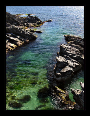 Beavertail Point