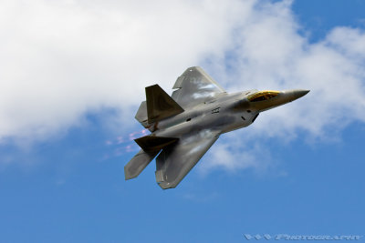 F-22 Raptor