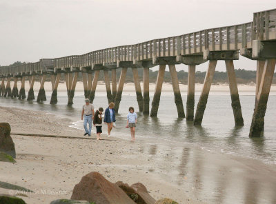 Beachcombing -- Fort Clinch
