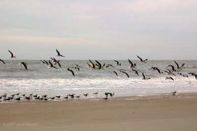 Take Off -- Fort Clinch